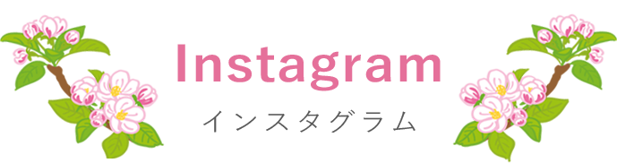 インスタグラム